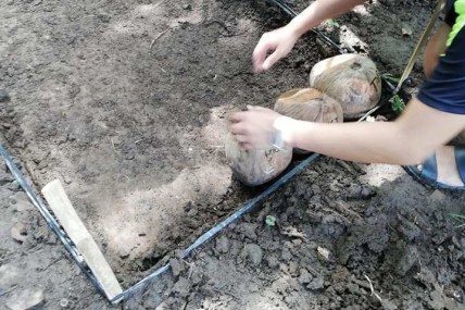 41147360_2211273772240913_6616482722481176576_n