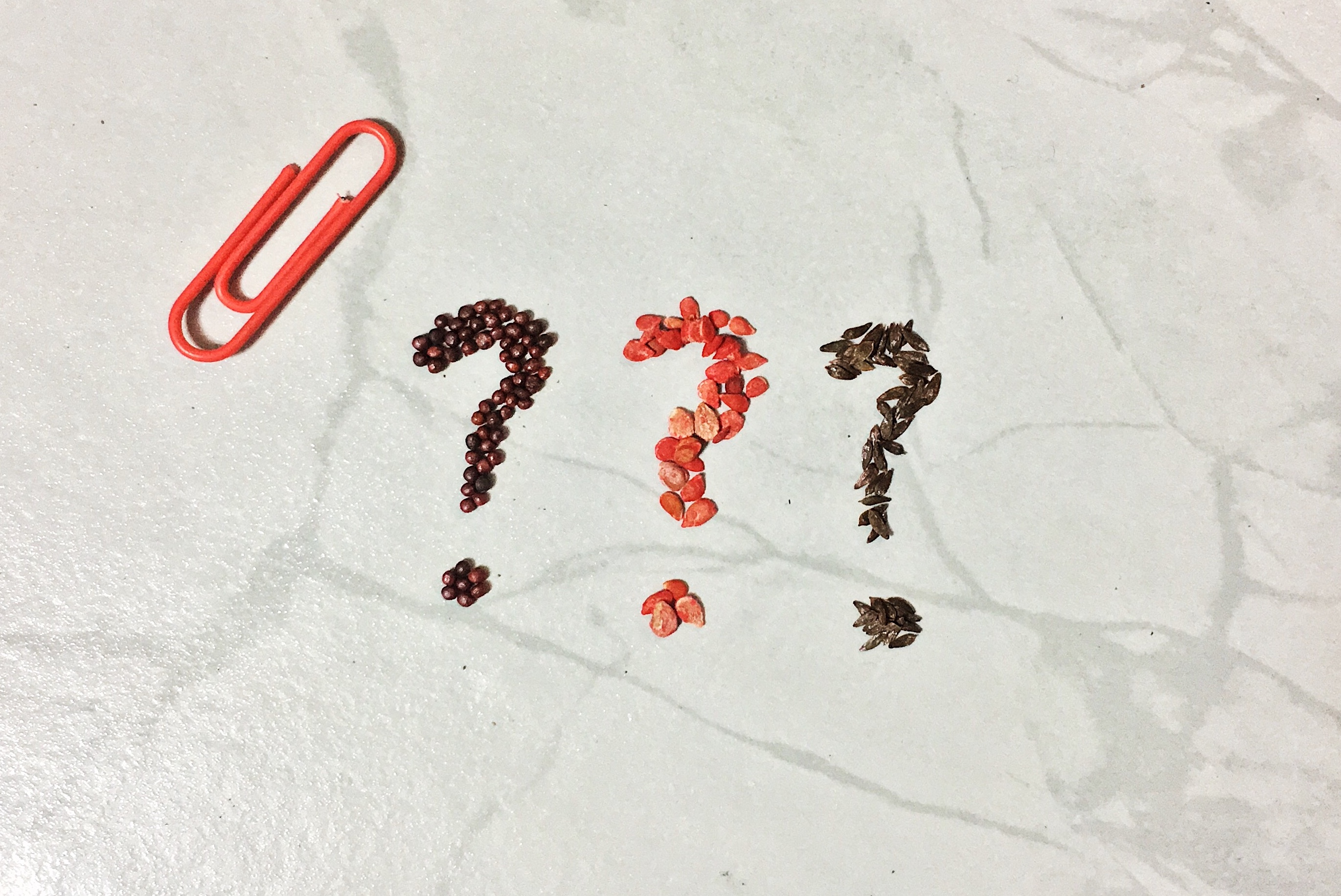 BFAD59A3-ABD2-449B-8279-01AEAE122629