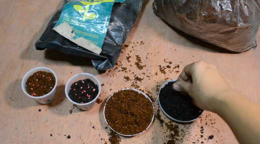 Screen Shot 2018-12-30 at 11.12.42 PM