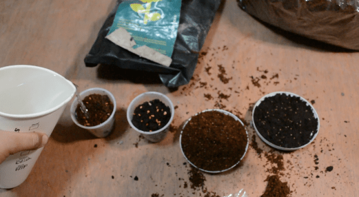 Screen Shot 2018-12-30 at 11.26.03 PM.png