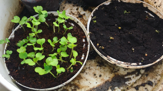 Screen Shot 2018-12-30 at 11.27.46 PM