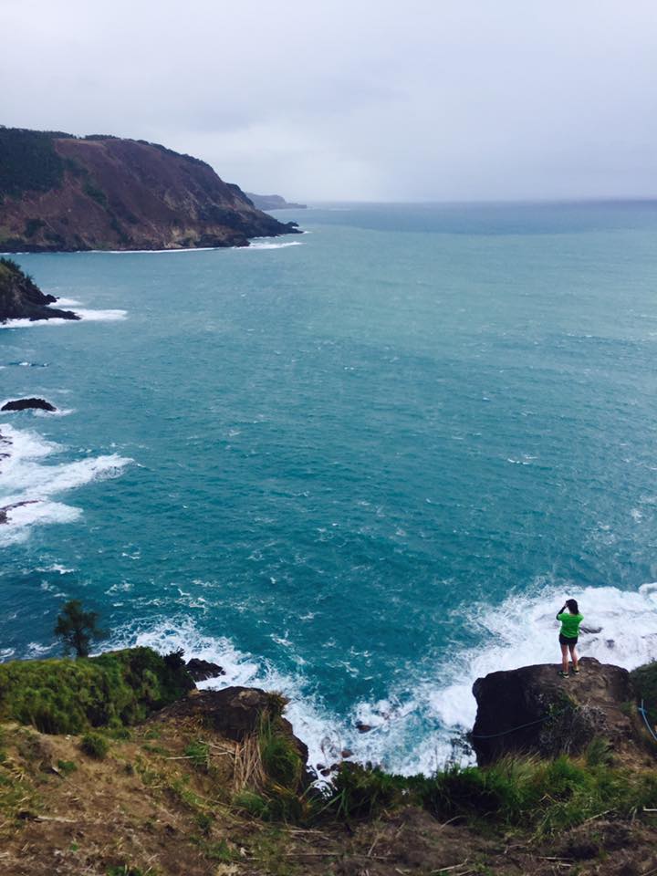 16426214_10206504634015048_2236529822941231886_n