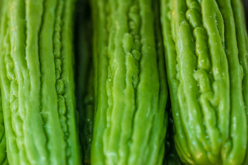 240_F_252075919_vdfyw7MUeRrHOHpifpkRcgMt4Prlc8rO