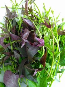 b653ea6ce021102f1ea1720cf0ab6db3