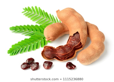 fresh-tamarind-fruits-leaves-isolated-260nw-1115236880