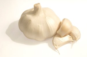 garlic-1326168