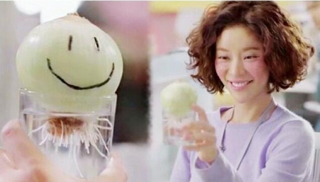 amigurumi_onion_from_korean_drama_she_was_pretty_1446773149_d02930d0