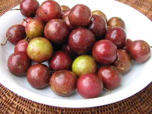 39a0f437b3cc5fc7be7b077a287883c8