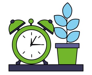 potted plant and clock alarm on shelf