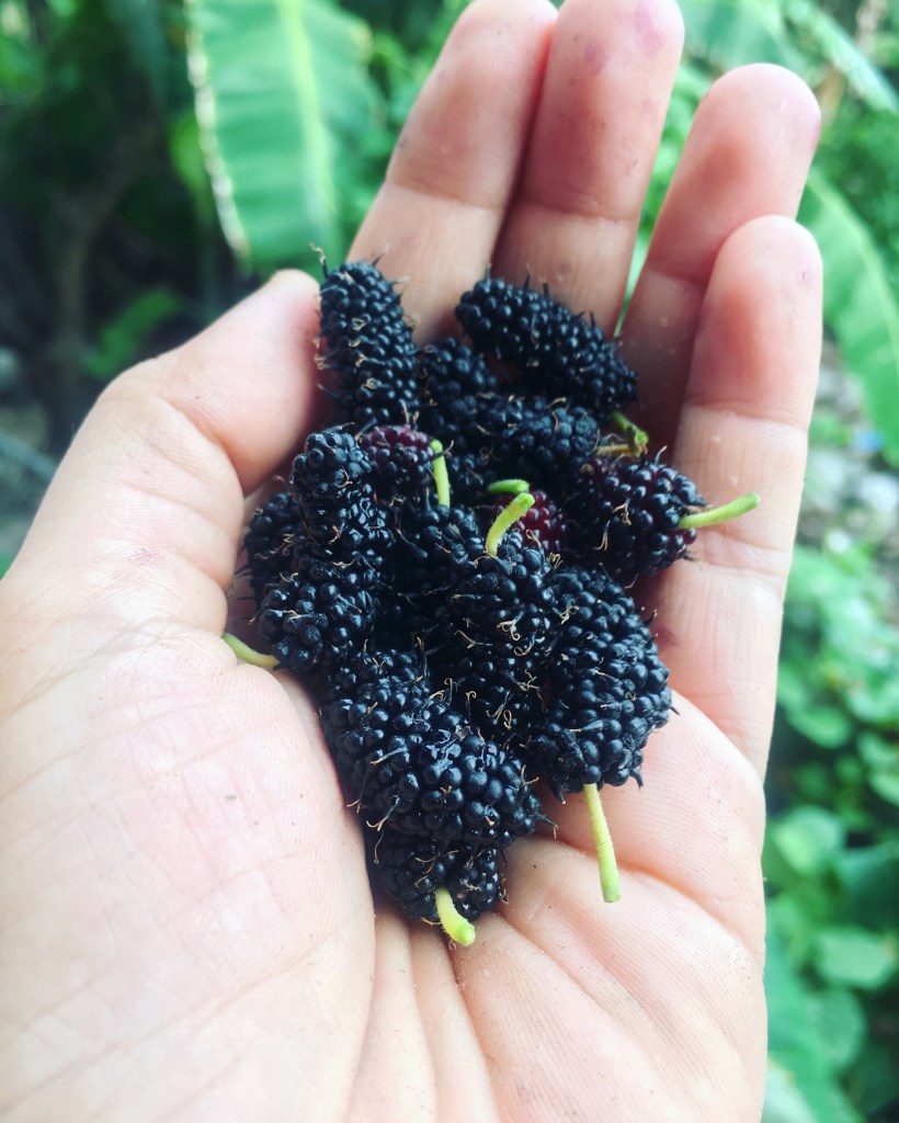 82675E7F-EB9E-43A0-AE90-E6E88ED332C4